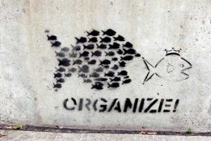 Organize! Fish